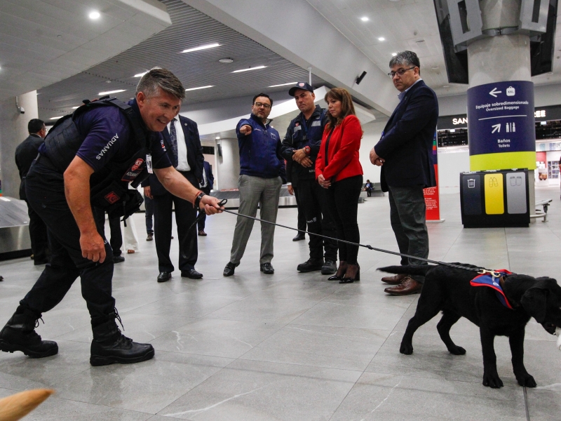  Imágen 10 - Galería