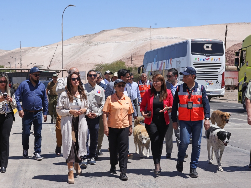  Imágen 5 - Galería