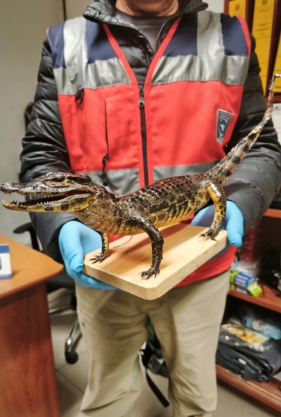  Imágen 1 - Galería