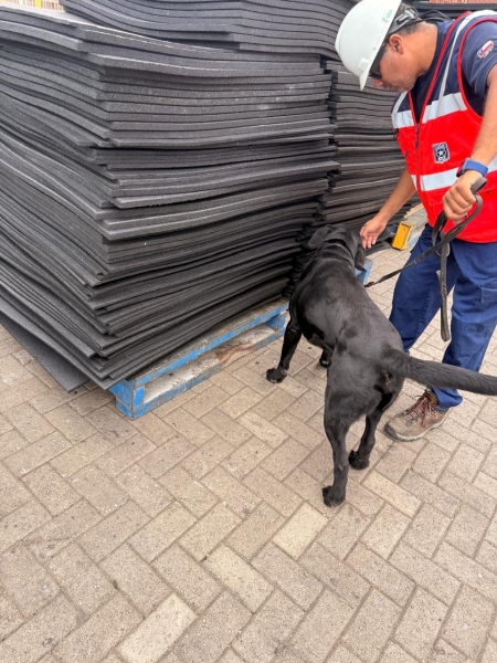  Imágen 2 - Galería