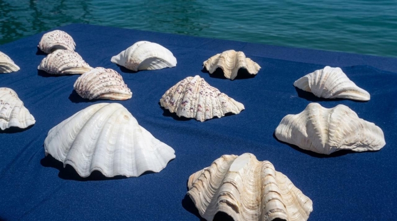  Imágen 4 - Galería